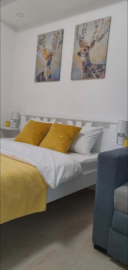 Apartman Iva Nova Varoš المظهر الخارجي الصورة